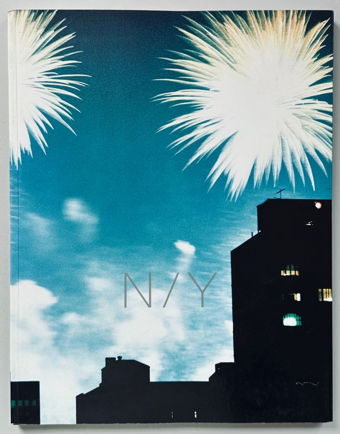 N/Y Ryuichi Sakamoto