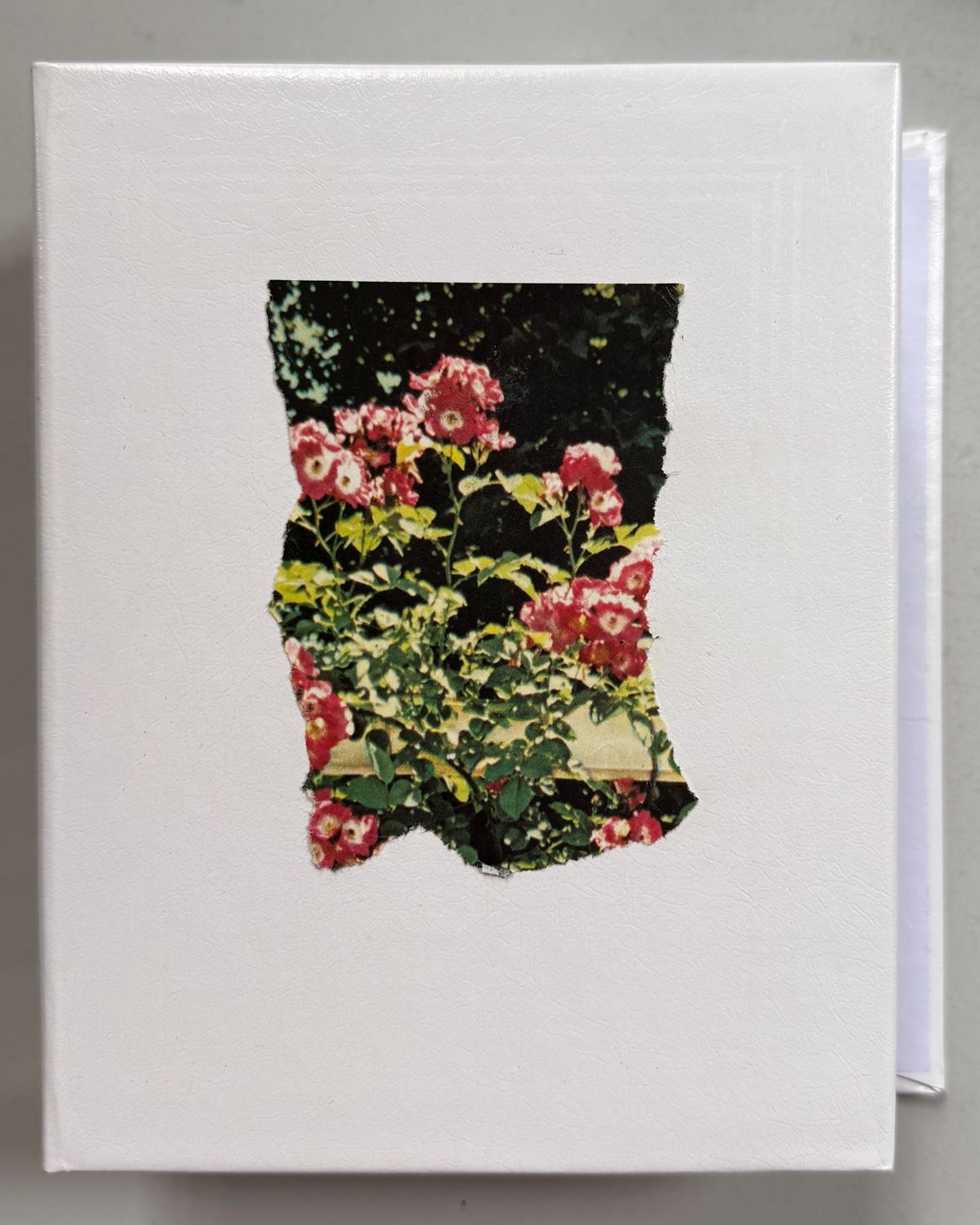 Marisa Saint Claire by Angela Hill