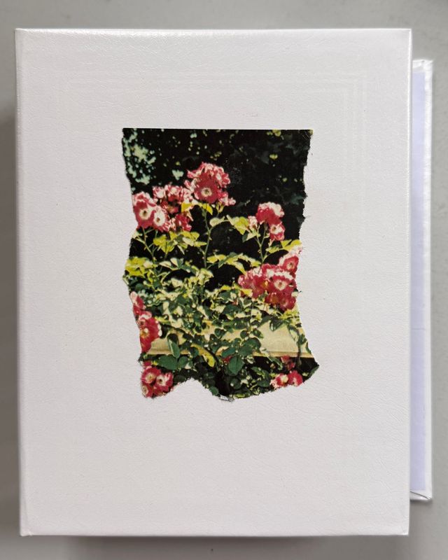 Marisa Saint Claire by Angela Hill