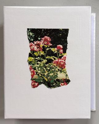 Marisa Saint Claire by Angela Hill