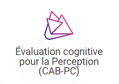 Evaluation cognitive en ligne pour la perception