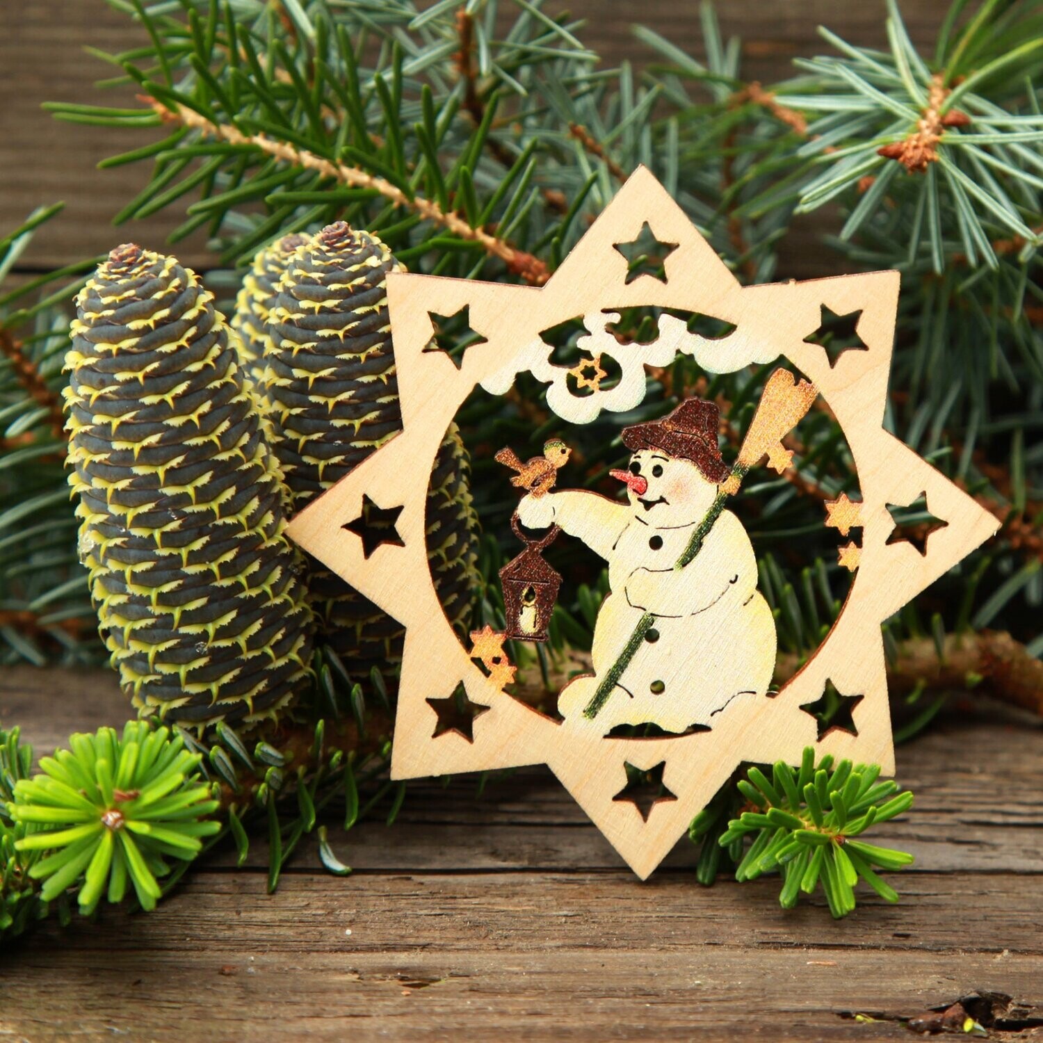 Weihnachtsstern "Schneemann" color
