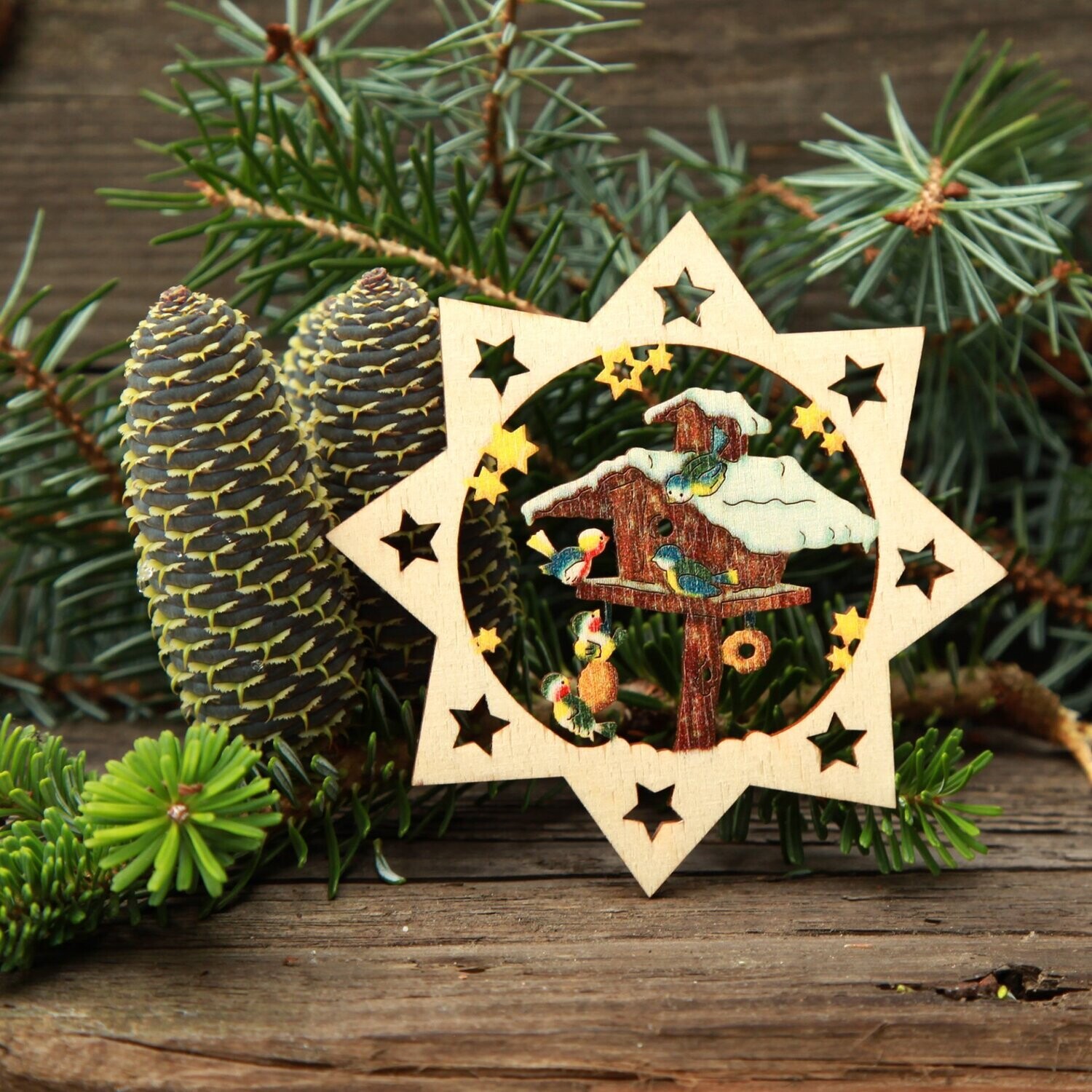 Weihnachtsstern "Vogelhaus" color