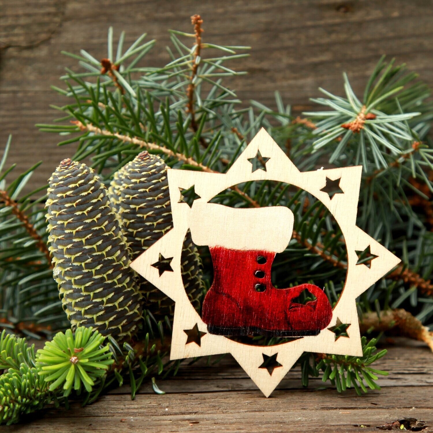 Weihnachtsstern "Stiefel" color