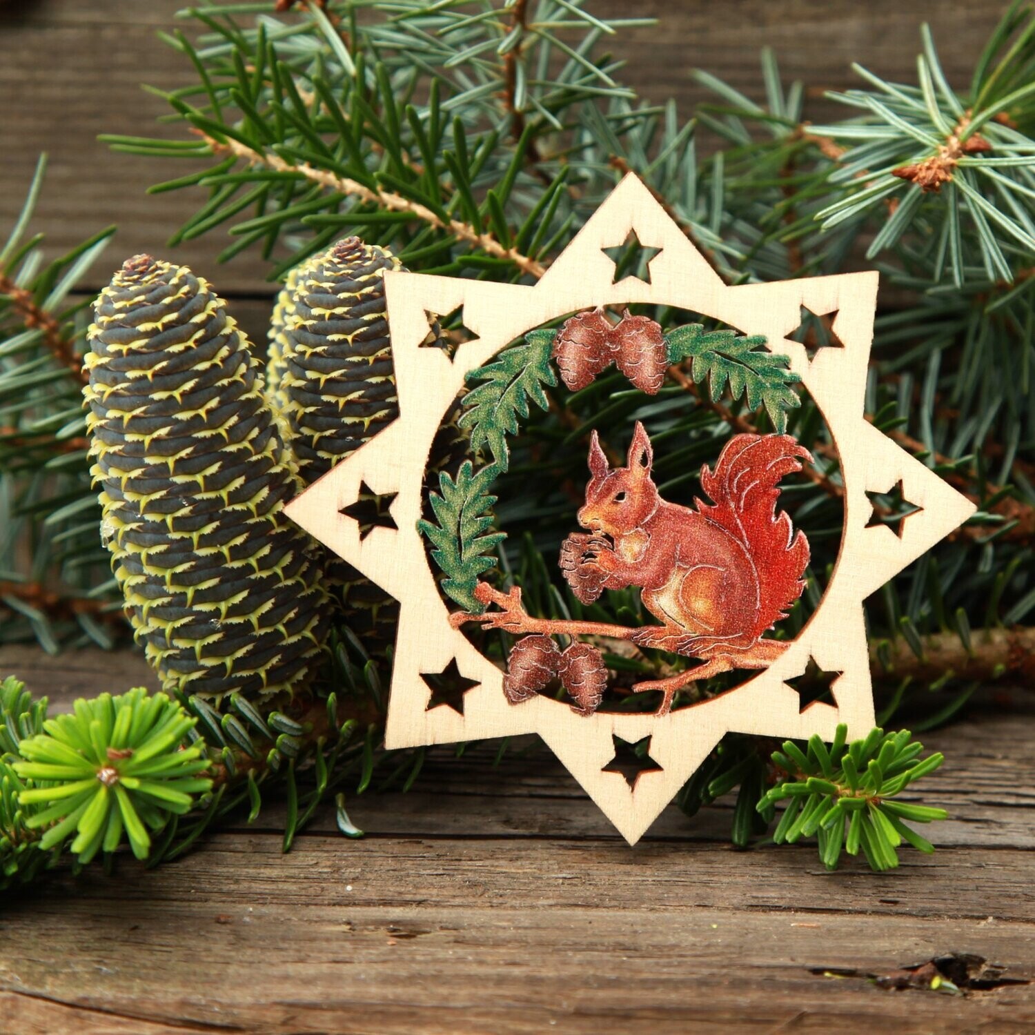 Weihnachtsstern "Eichhörnchen" color