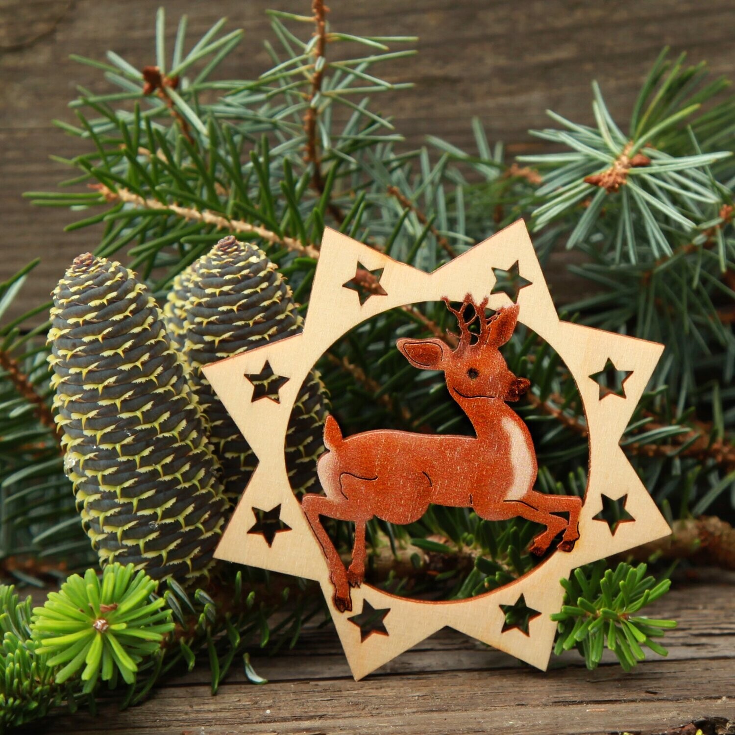 Weihnachtsstern "Reh" color