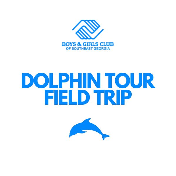 Dolphin Tour (7/1/26) Age 8 +