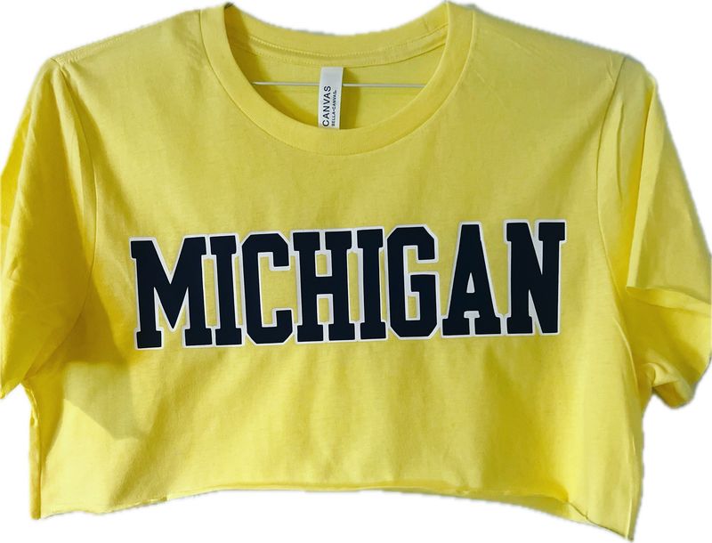 Cropped Tee School Logo