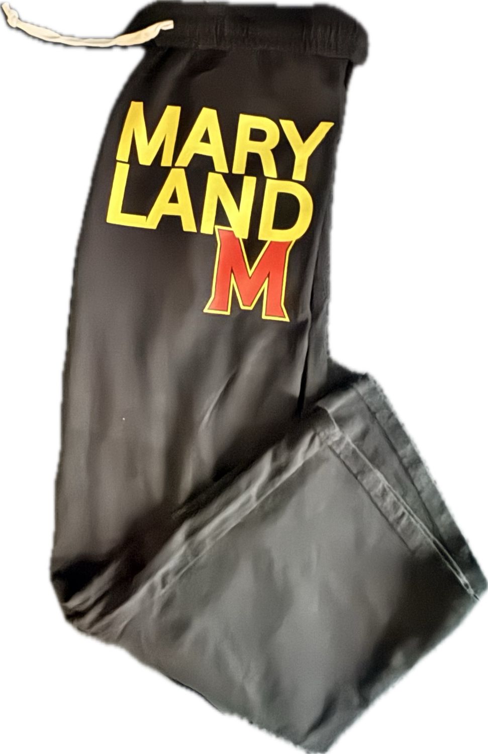 Large Font College Logo Sweatpants