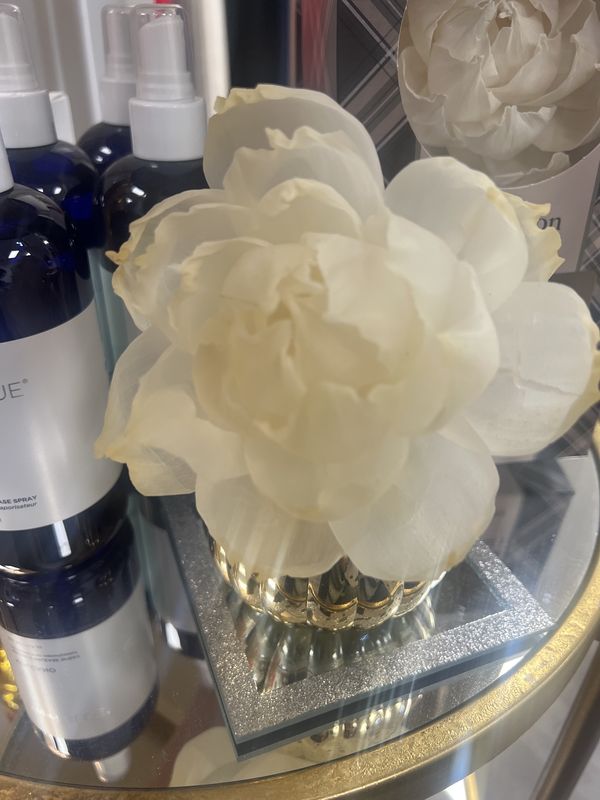 Afternoon retreat flower