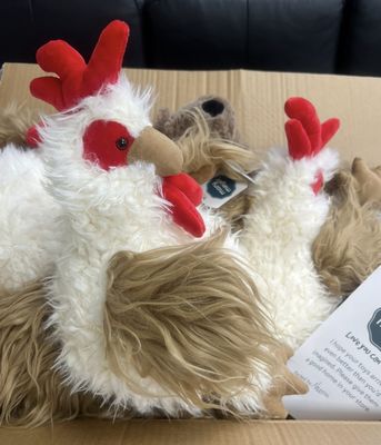 Chicken