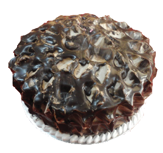 Chocolate Mud