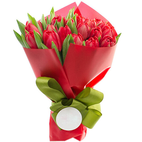 Bouquet of 25 Red Tulips