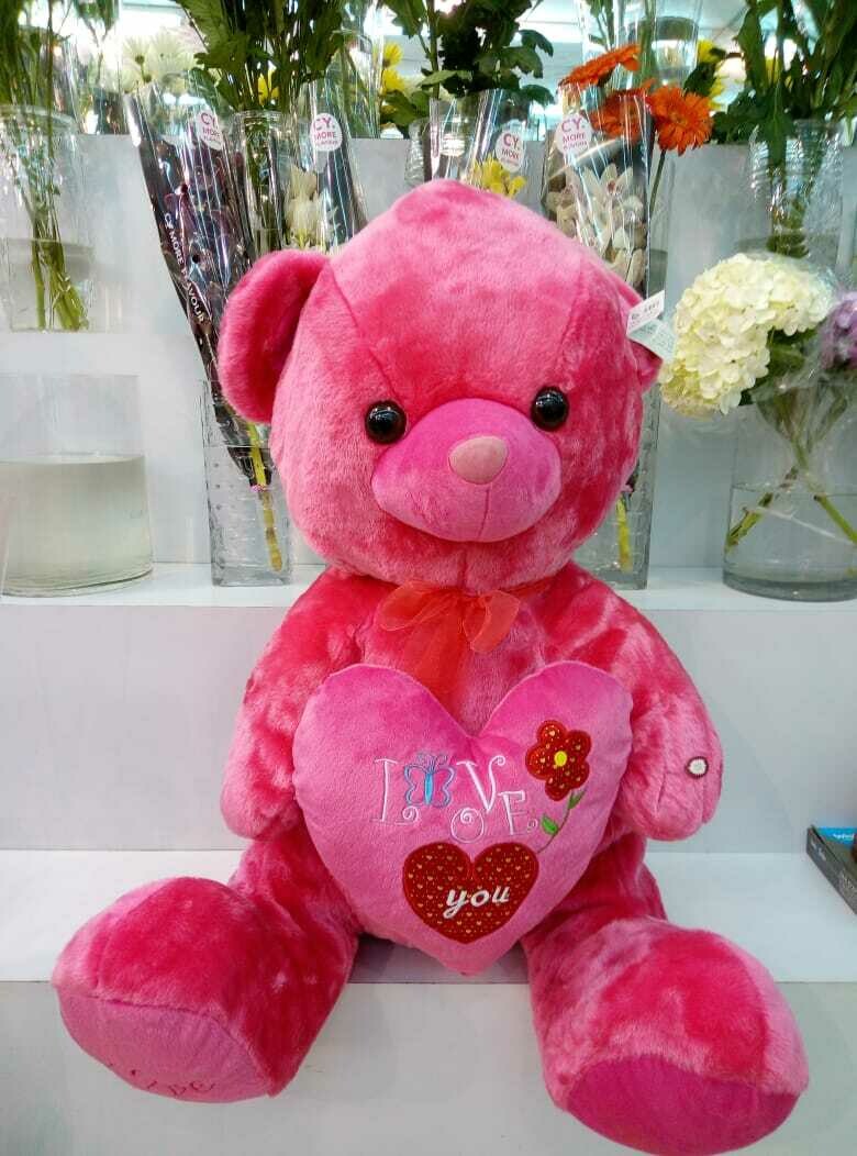 Pink Colour Teddy