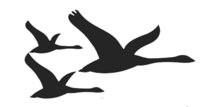 Gulbenes novada vidusskola