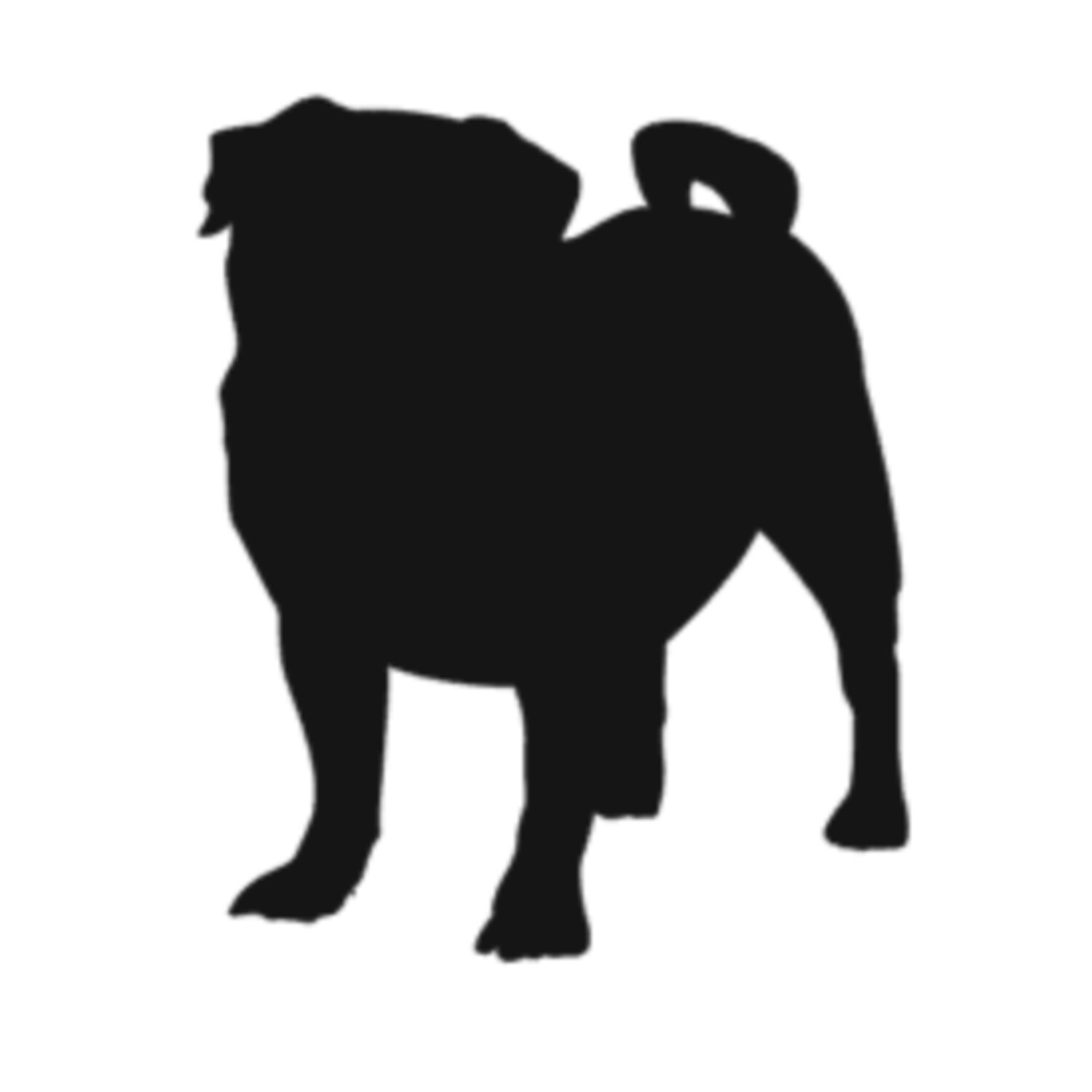 Pug MMF 387pgs