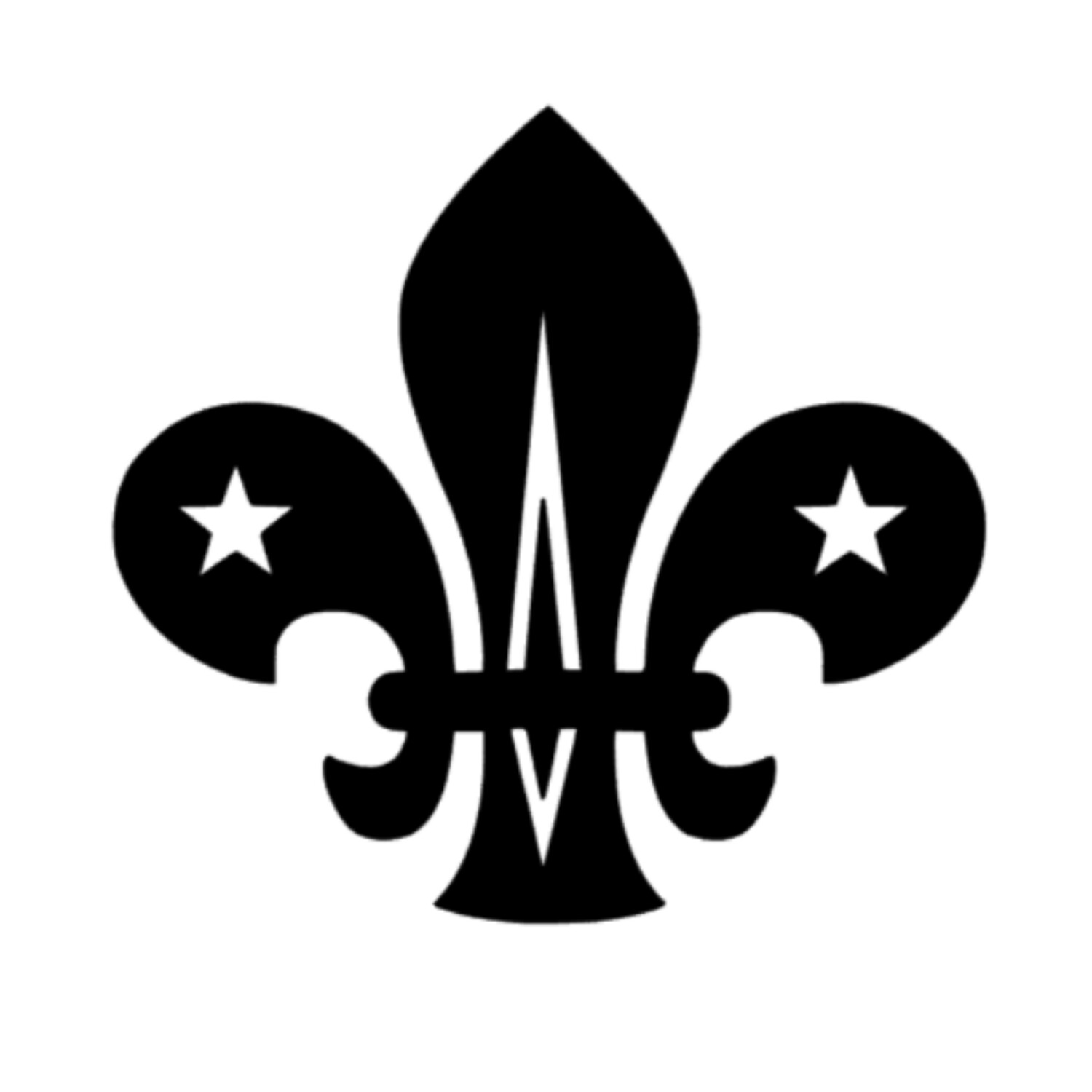Boy Scout MMF 440pgs