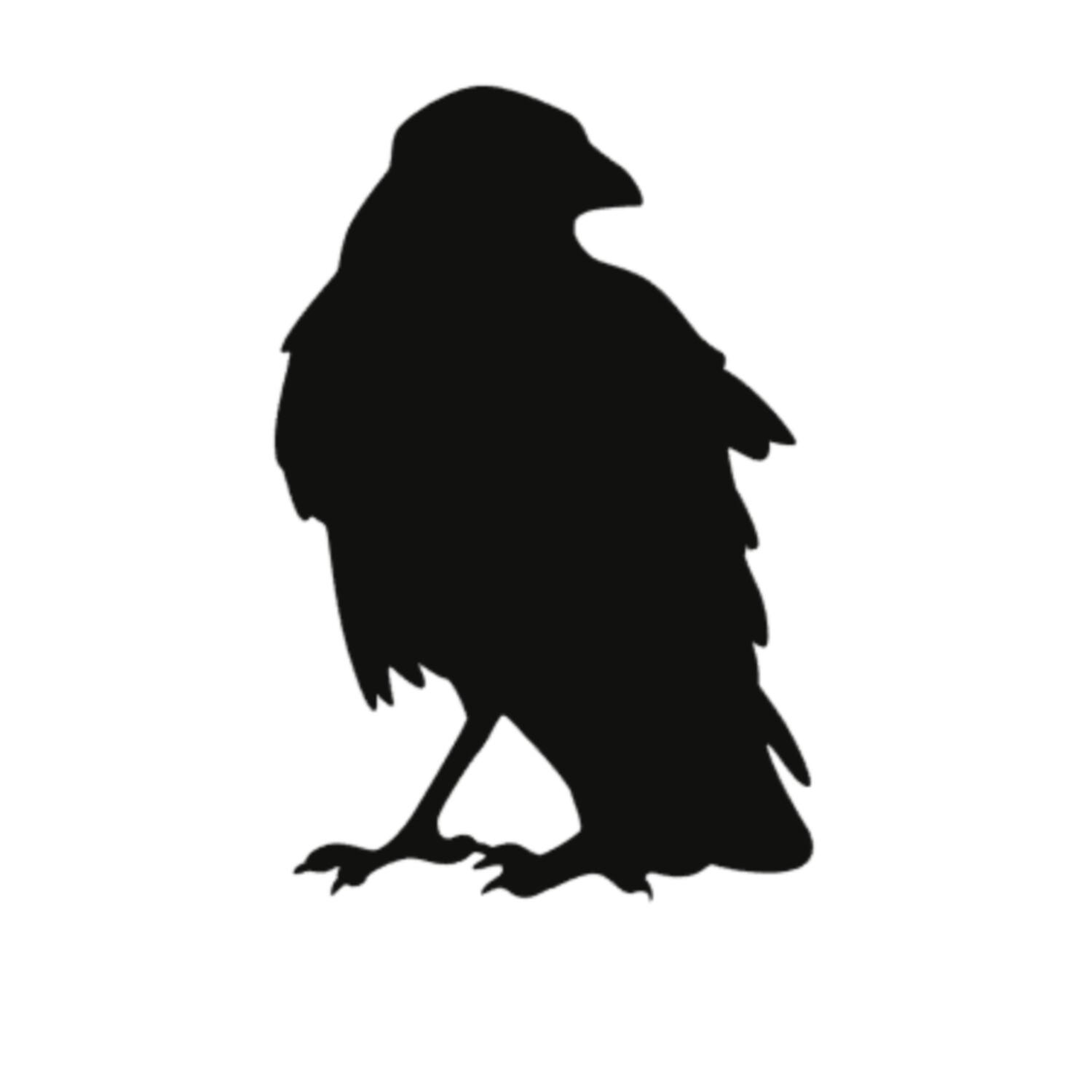 Raven MMF 386pgs