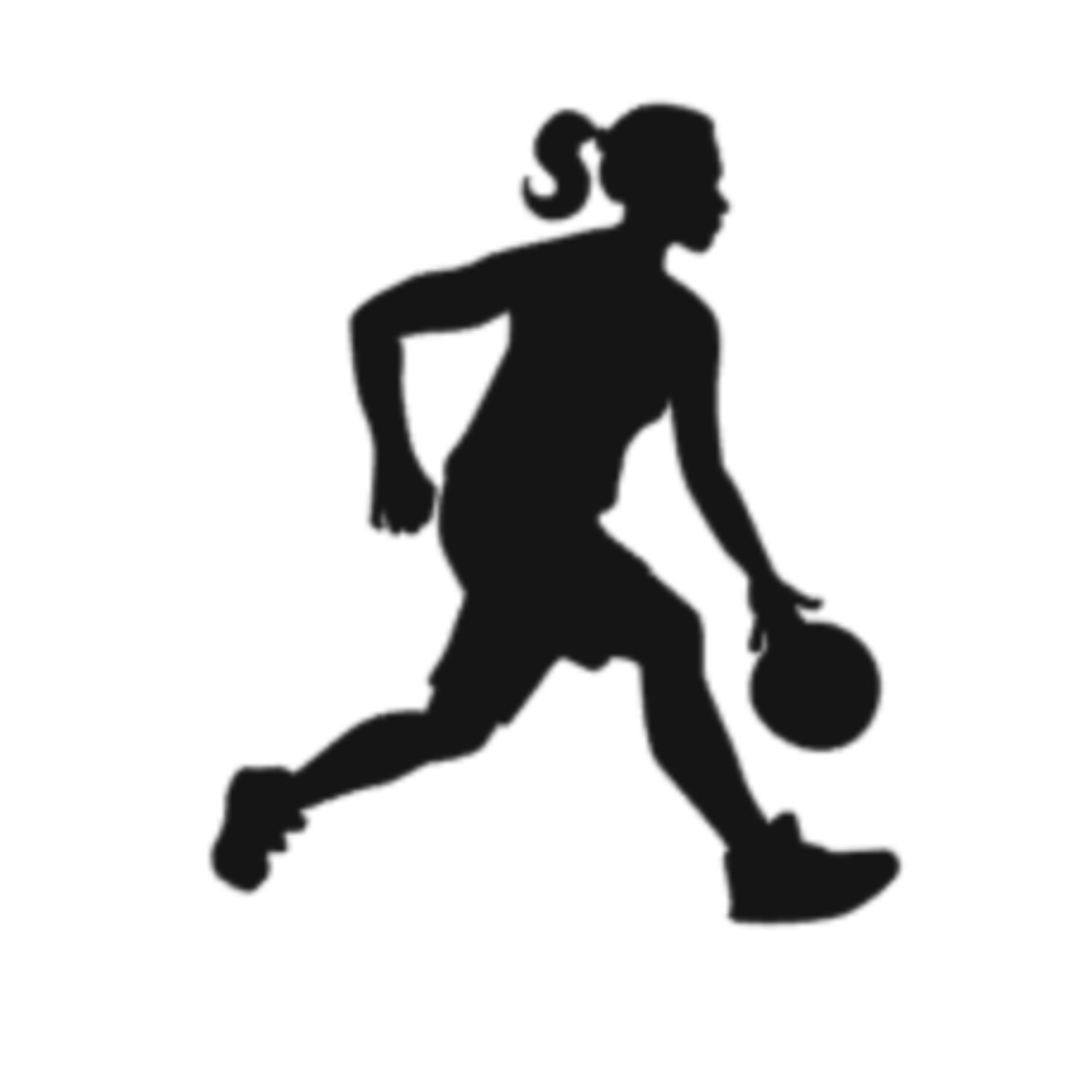 Basketball Player Girl MMF 325pgs