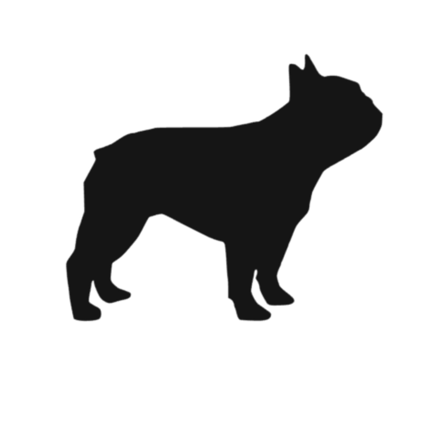 French Bulldog MMF