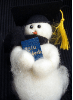 "Graduate" Wooly Primitive Snowmen