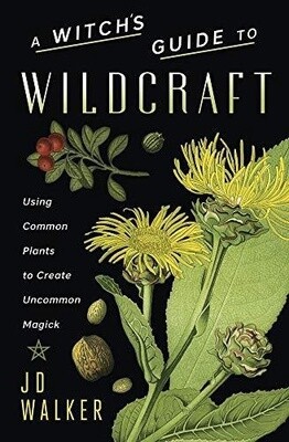 A Witch's Guide to Wildcraft: Using Common Plants to Create Uncommon Magick