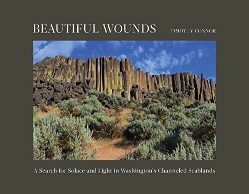 Beautiful Wounds: A Search For Solace And Light In Washington's Channeled Scablands / Hardcover
