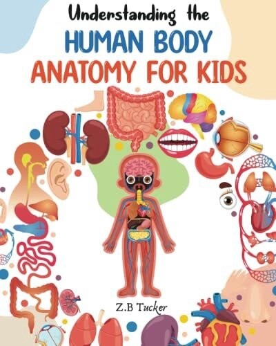 Understanding The Human Body: Human Anatomy Made Easy For Kids (Paperback)