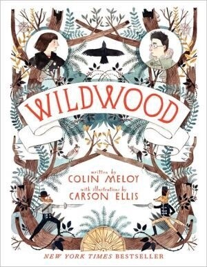 Wildwood (Wildwood Chronicles #1) (Paperback)