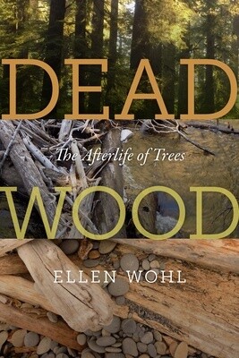 Dead Wood: The Afterlife of Trees