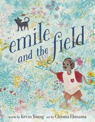 Emile and the Field (Hardcover)