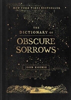 Dictionary of Obscure Sorrows (Hardcover)
