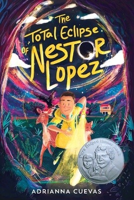 The Total Eclipse of Nestor Lopez (Paperback)
