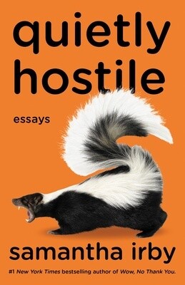 Quietly Hostile: Essays (Paperback)