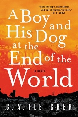 A Boy and His Dog at the End of the World (Paperback)