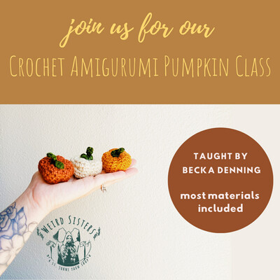 Crochet Amigurumi Pumpkin Class Nov 2