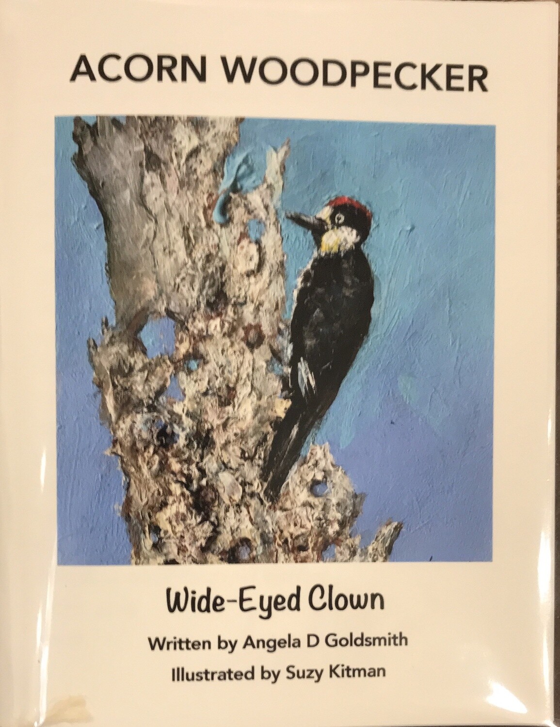 Angela Goldsmith Acorn Woodpecker