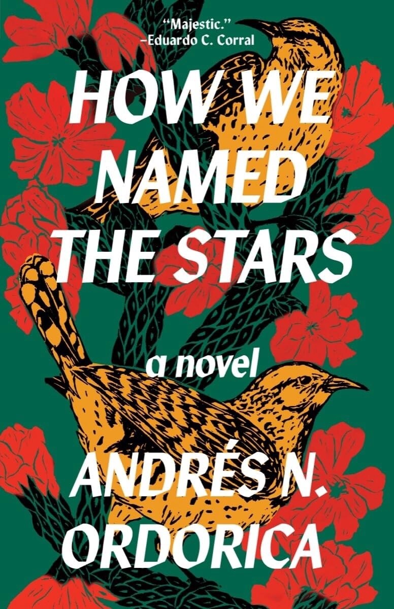 How We Named the Stars (Paperback)