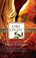 Fire Study (Paperback)