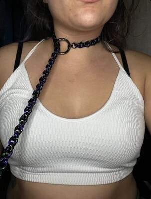 Slip lead Collar Leash