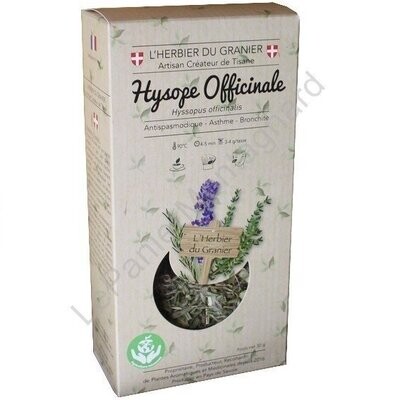 Hysope Officinale