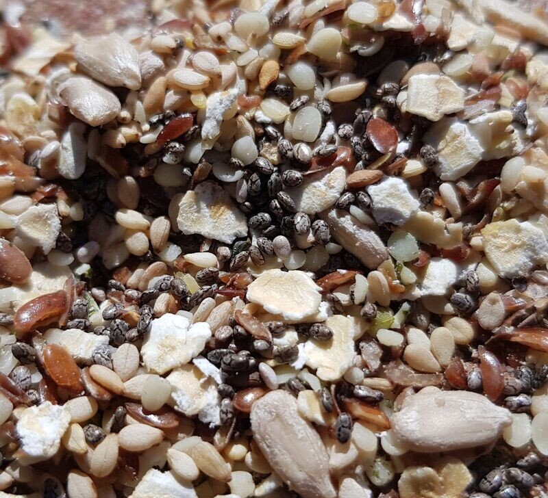 Samenmischung A I Futter für Granivoren I 20 Gramm Samenmischung A I Futter für Granivoren I 20 Gramm