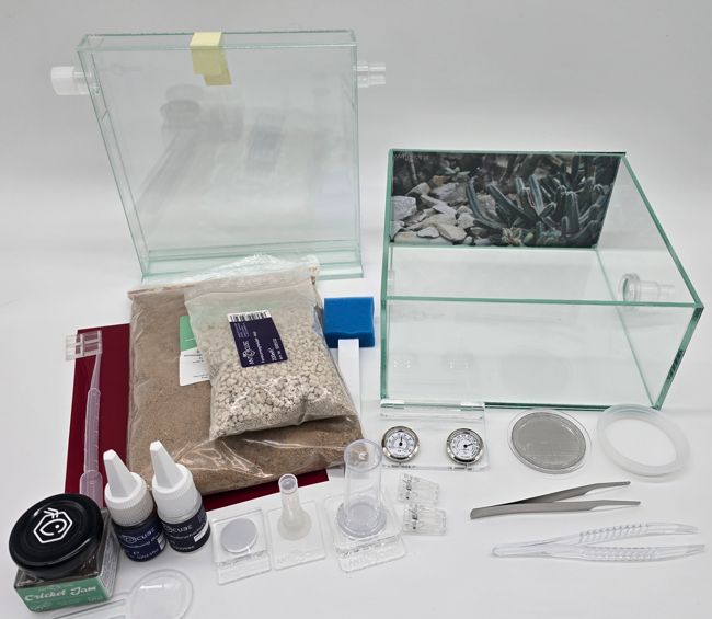 Antcube - Starter Set L - Wüste