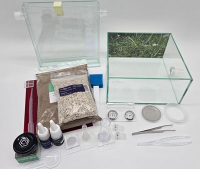 Antcube - Starter Set L - Wiese