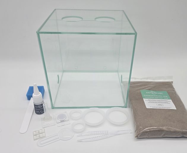 Antcube - Arena 20x20x20 - Combi M