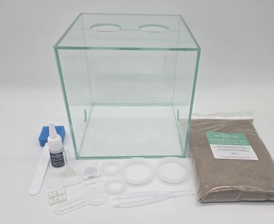 Antcube - Arena 20x20x20 - Combi M