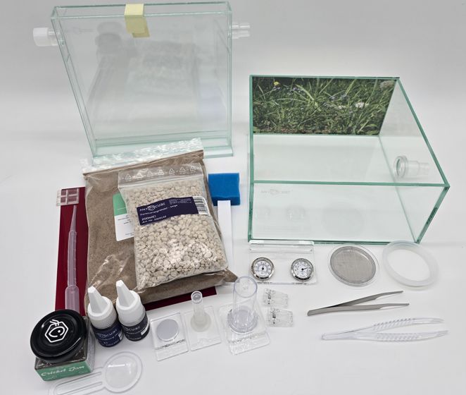 Antcube - Starter Set L - Wiese