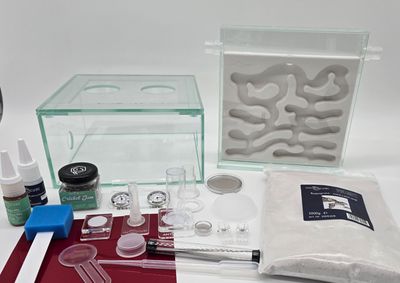 Antcube - Starter Set L - Gipseinsatz Antcube - Starter Set L - Gipseinsatz
