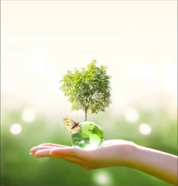 Arredamento giardino