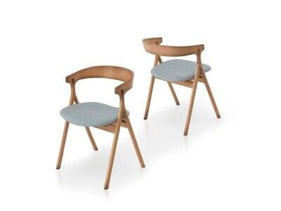 Sedia in Legno Modello Green